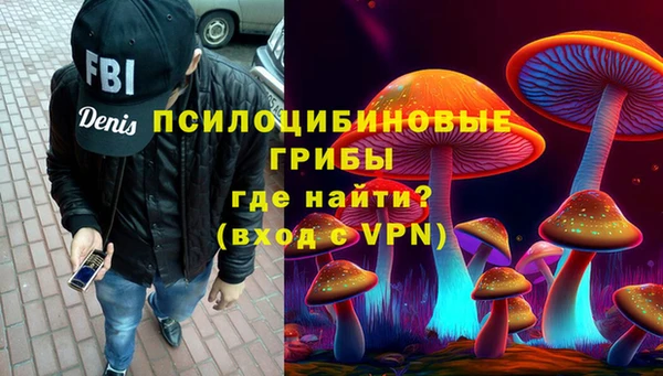 сатива Верхний Тагил