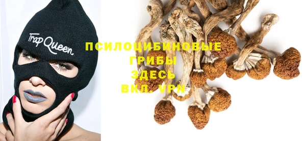 мяу мяу кристалл Бородино
