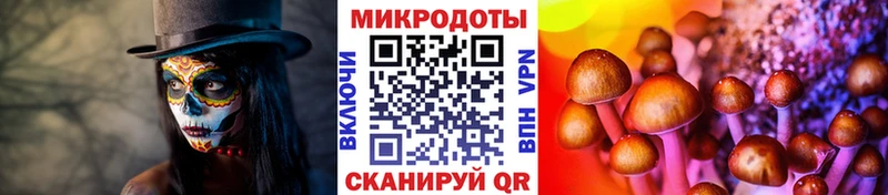 shop какой сайт Белоозёрский Псилоцибиновые грибы MAGIC MUSHROOMS